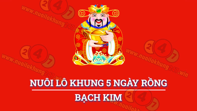 Nuôi lô khung 5 ngày rồng bạch kim là gì?